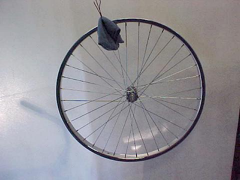 I built a wheel!